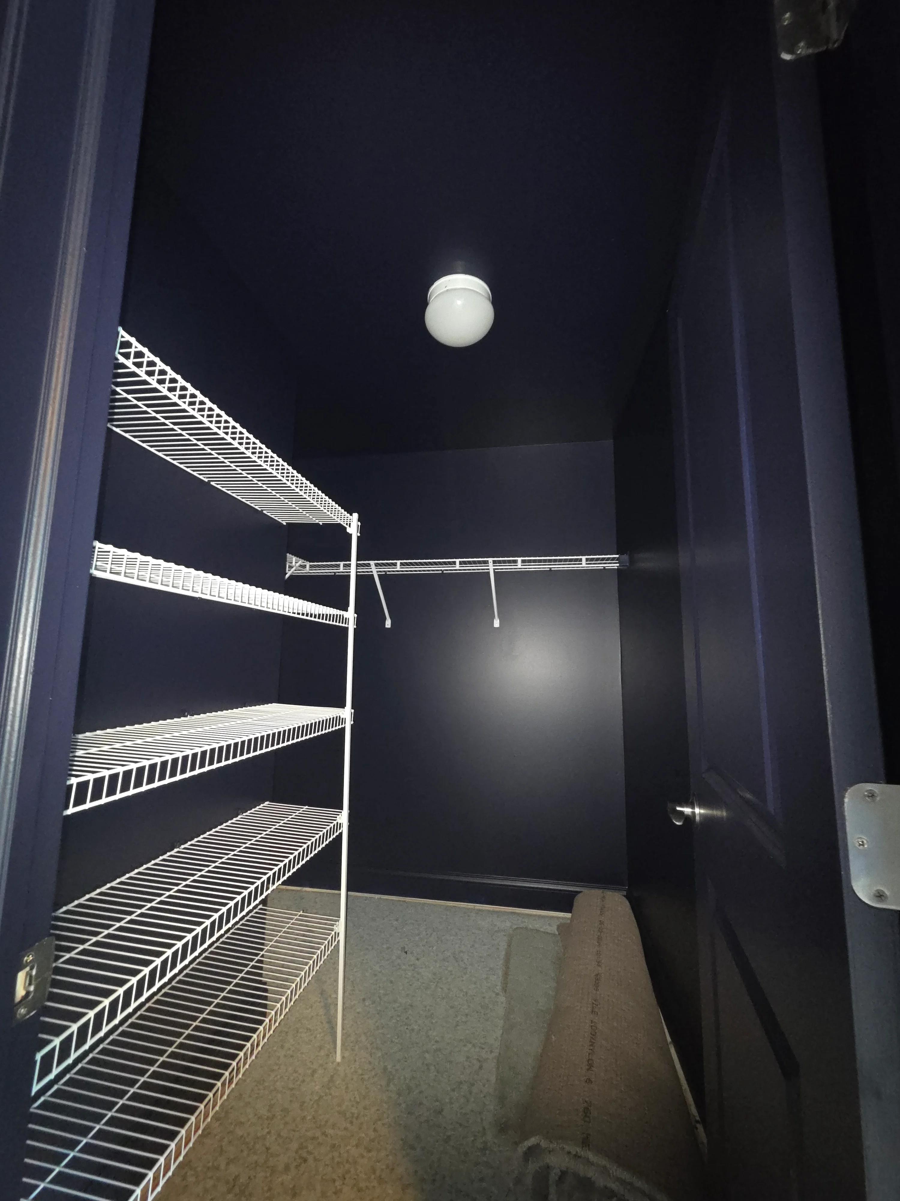 Dark navy painted walls with white metal shelving and ceiling-mounted globe light fixture