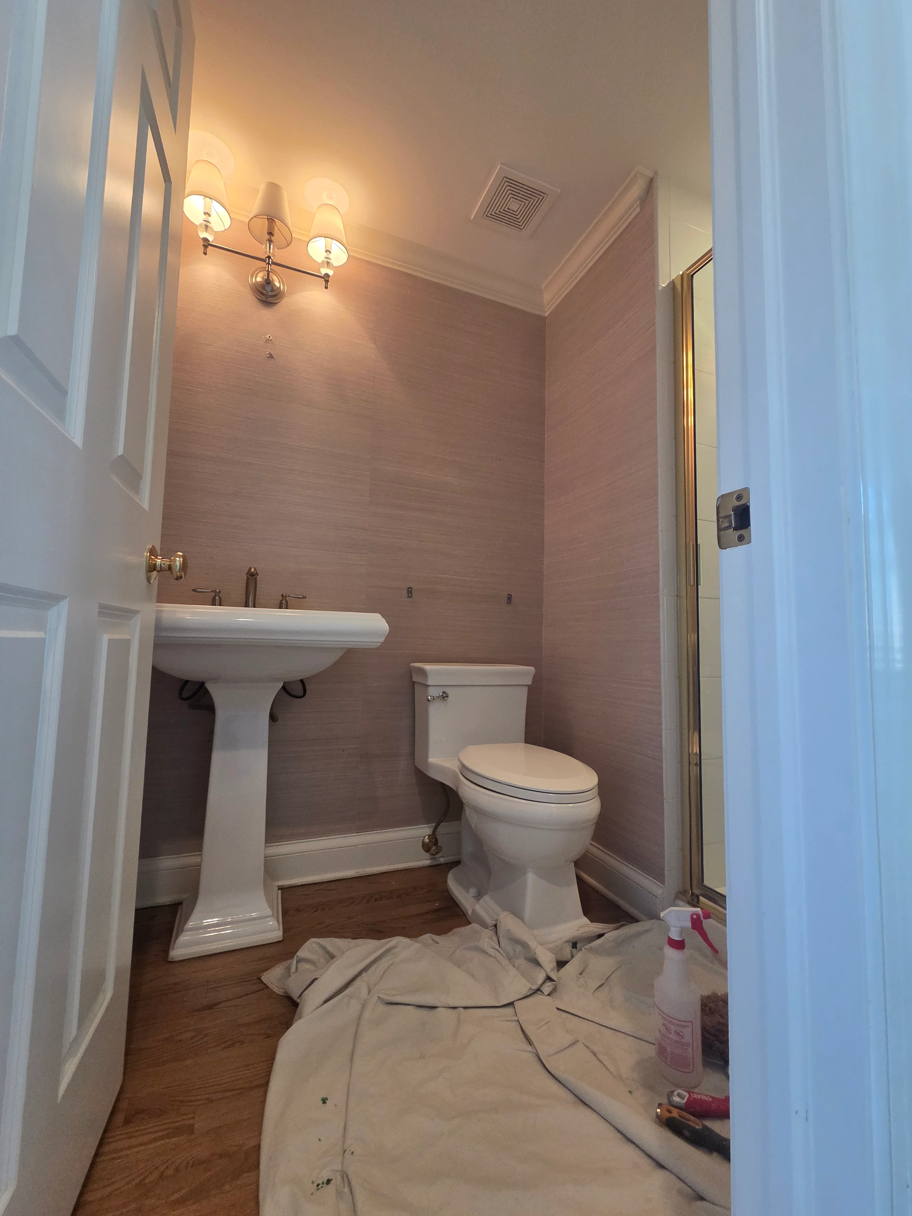 Painted bathroom with mauve textured walls, white ceiling, pedestal sink, and brass light fixture